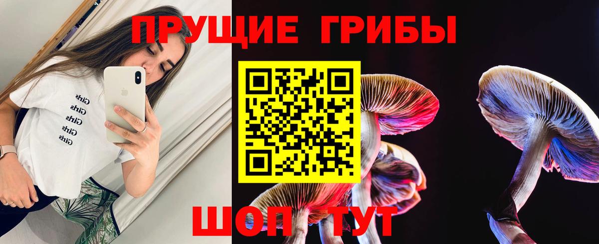Галлюциногенные грибы Cubensis Новоалександровск
