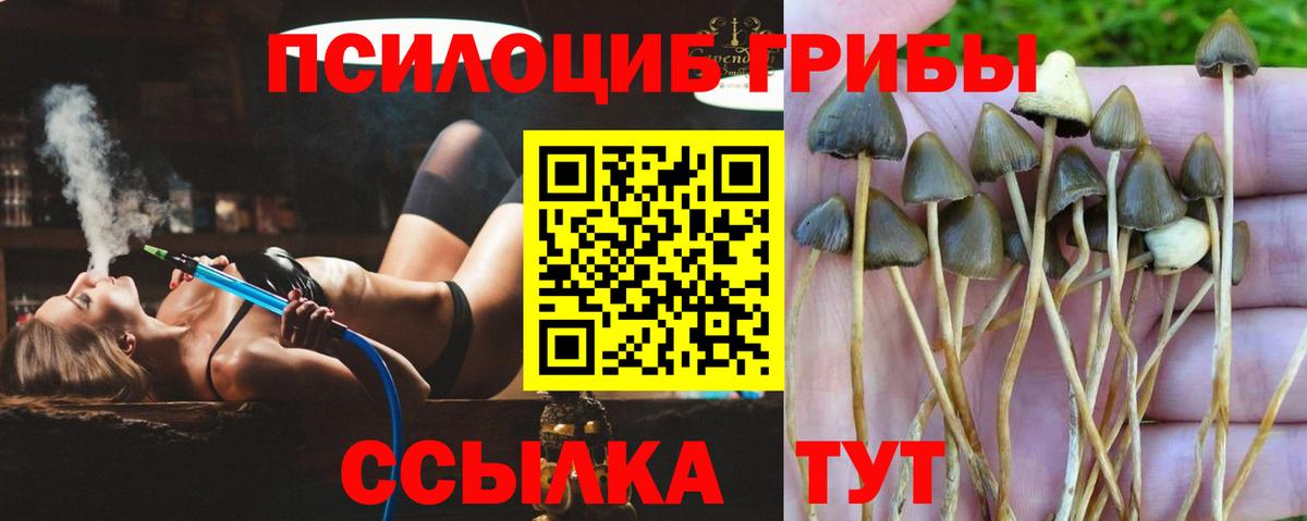 Новоалександровск  цена наркотик  Вход с VPN  Галлюциногенные грибы мухоморы 